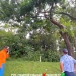 Heboh! Monyet di Permata Sentul Bawa Kabur Handphone Pegolf
