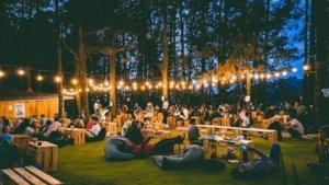 Kopi Daong, Tempat Nongkrong Bernuansa Alam di Tengah Hutan Pinus Bogor