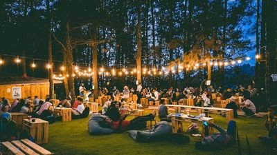 Kopi Daong, Tempat Nongkrong Bernuansa Alam di Tengah Hutan Pinus Bogor