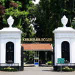 Kebun Raya Bogor: Destinasi Edukasi Favorit Saat Libur Panjang Sekolah