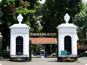 Kebun Raya Bogor: Destinasi Edukasi Favorit Saat Libur Panjang Sekolah